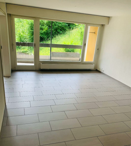 2.5 Zimmerwohnung in Benziwil