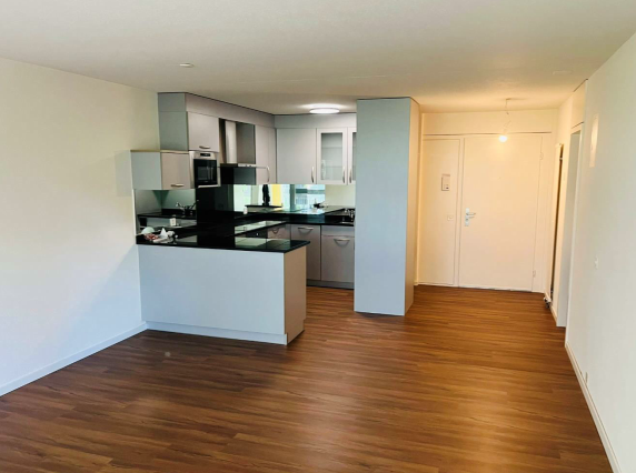 2.5 Zimmerwohnung in Benziwil